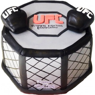№2338 "UFC"